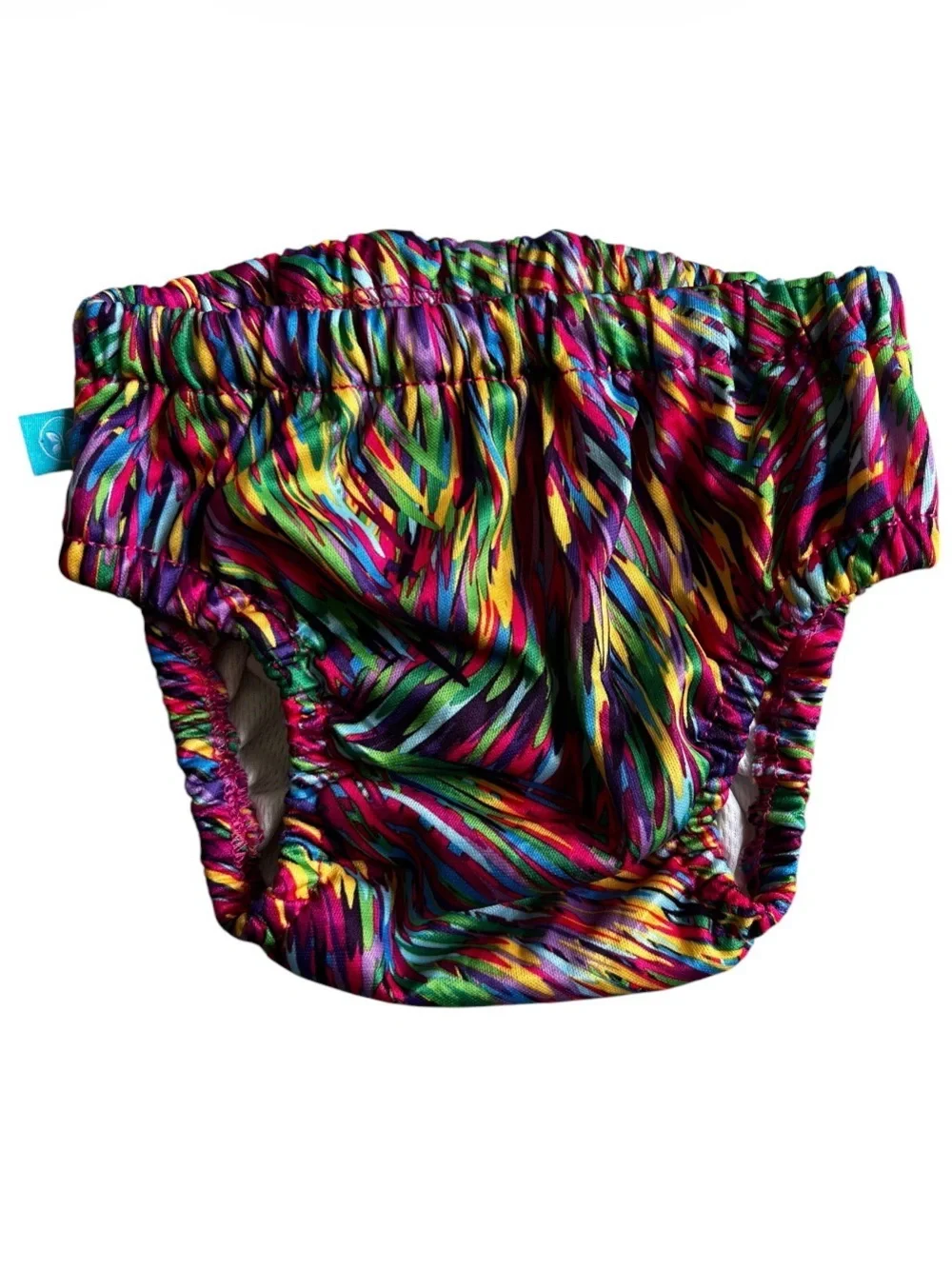 The Honest Company Multicolor Swim Diaper Cover - Bright Rainbow Print